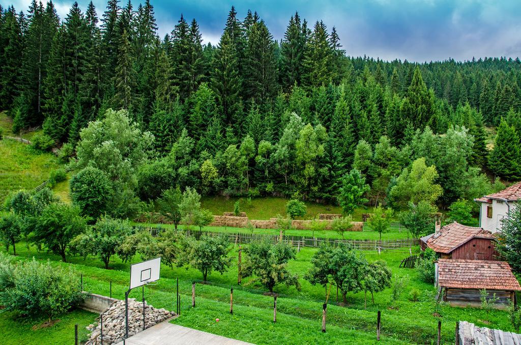 Pensiunea Casa Elvira Vama  Dış mekan fotoğraf