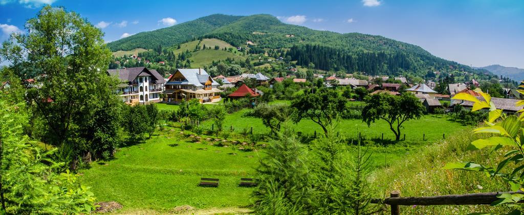 Pensiunea Casa Elvira Vama  Dış mekan fotoğraf