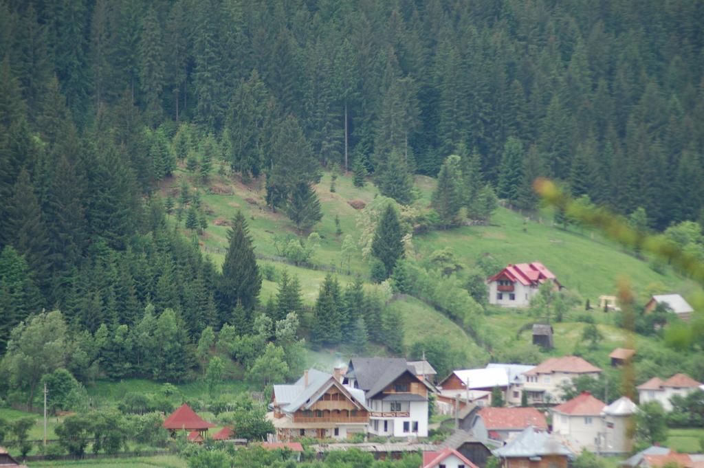 Pensiunea Casa Elvira Vama  Dış mekan fotoğraf